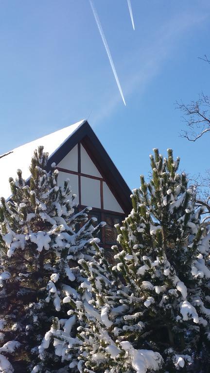 Landhaus Tonmuehle Ilsenburg Exteriér fotografie