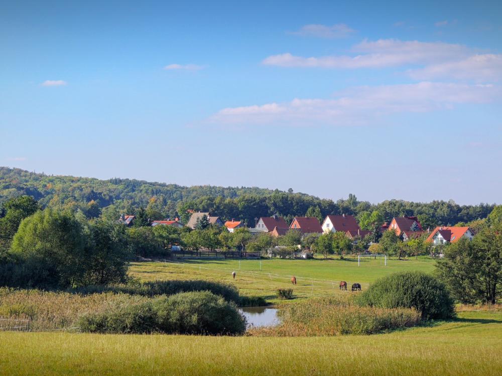 Landhaus Tonmuehle Ilsenburg Exteriér fotografie